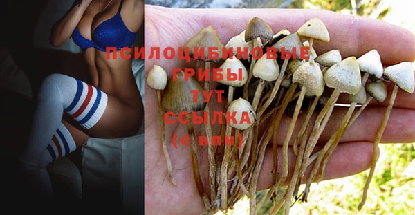 гашиш Осинники